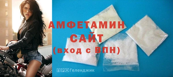 хмурый Пересвет