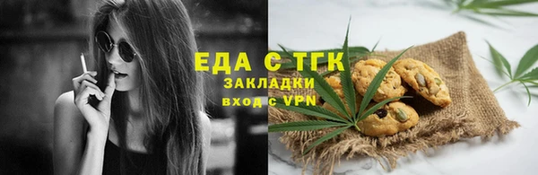 хмурый Пересвет