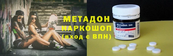хмурый Пересвет