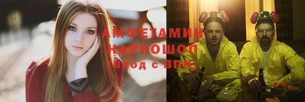 хмурый Пересвет