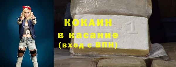хмурый Пересвет