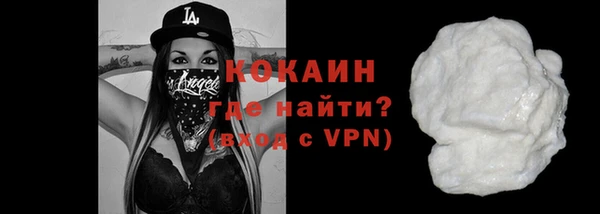 хмурый Пересвет