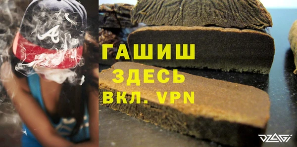 хмурый Пересвет