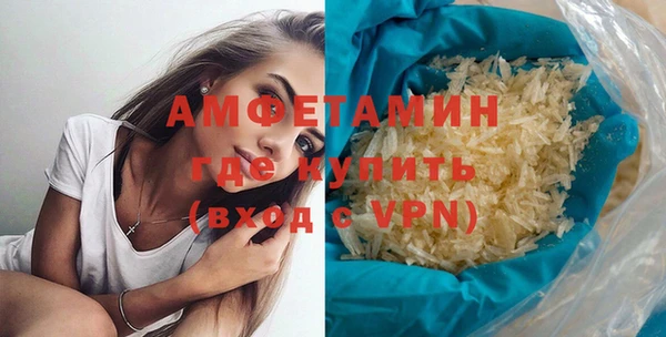 хмурый Пересвет