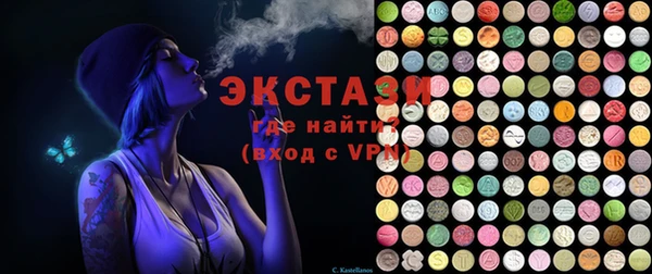 хмурый Пересвет