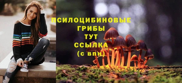 хмурый Пересвет
