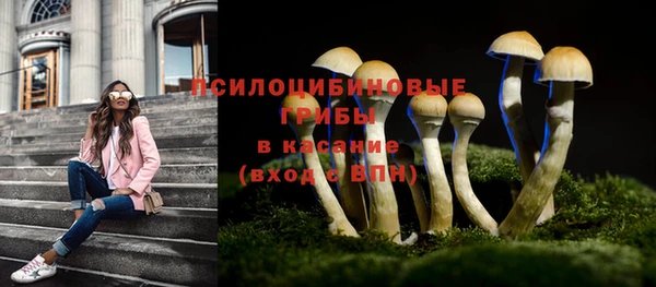 мяу мяу кристалл Переславль-Залесский