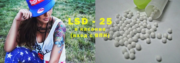 хмурый Пересвет