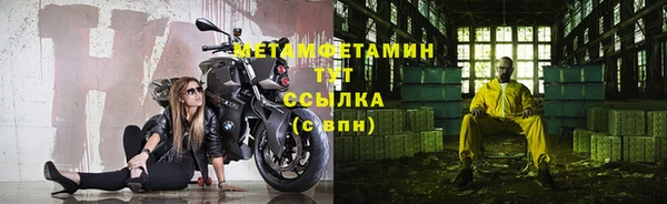 хмурый Пересвет