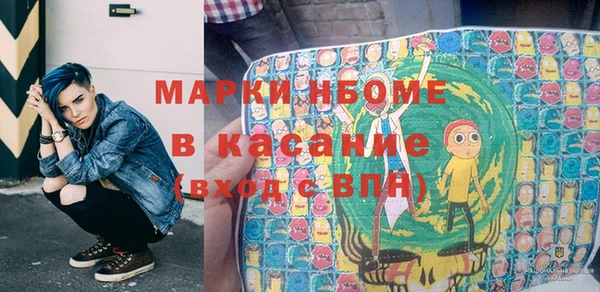хмурый Пересвет