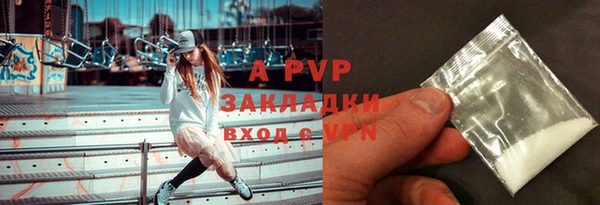 хмурый Пересвет