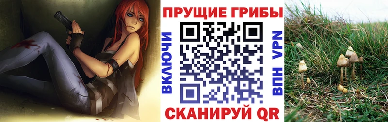 Галлюциногенные грибы Magic Shrooms Каневская